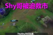 AYX-关于TheShy迎来十赛季高光表现，TL球迷沸腾！的信息