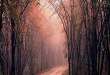 爱游戏体育-包含浙江稠州发布备战花絮；集结日绝杀压哨；亚冠任务艰巨；训练强度显著提升的词条