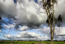 爱游戏体育-包含浙江稠州发布备战花絮；集结日绝杀压哨；亚冠任务艰巨；训练强度显著提升的词条